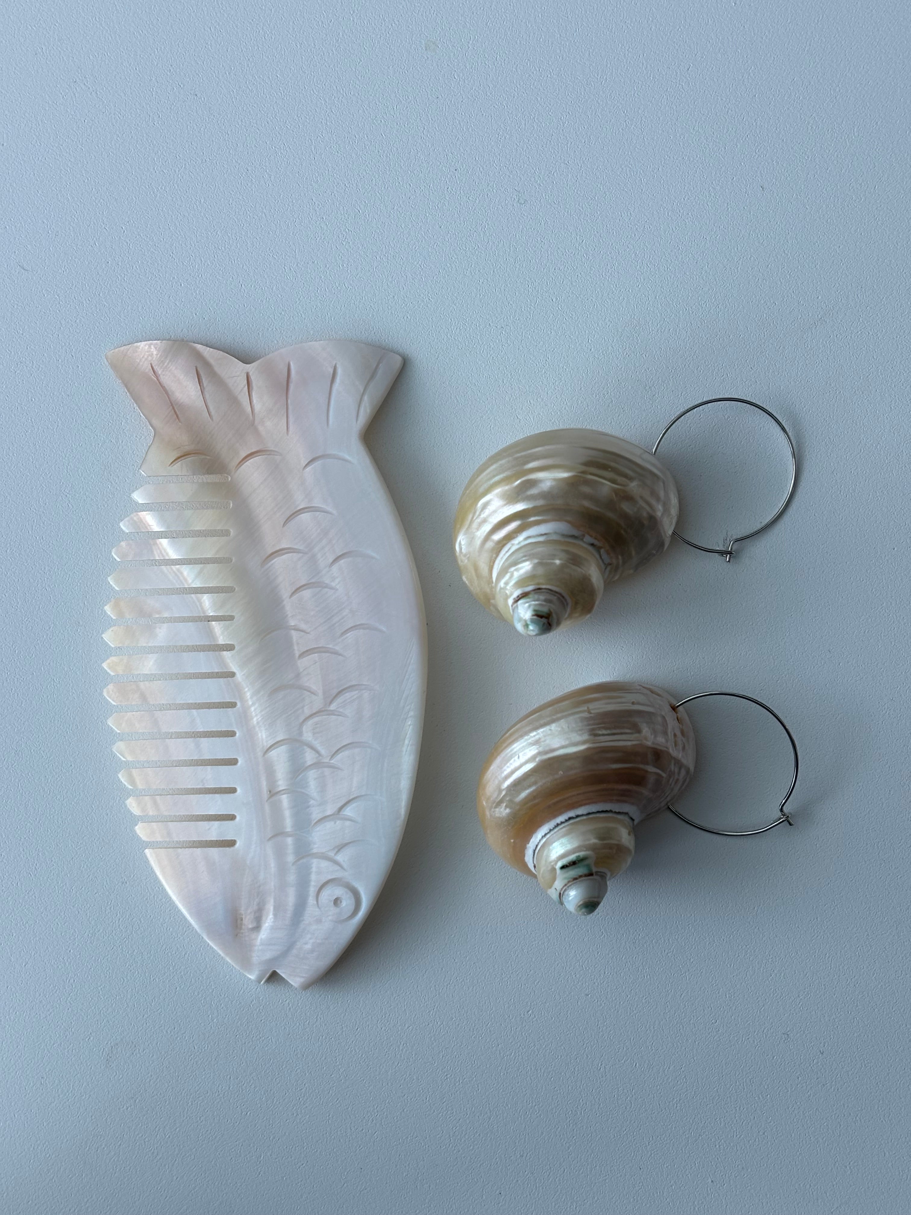 Turbo Pearled Seashells
 Earrings
