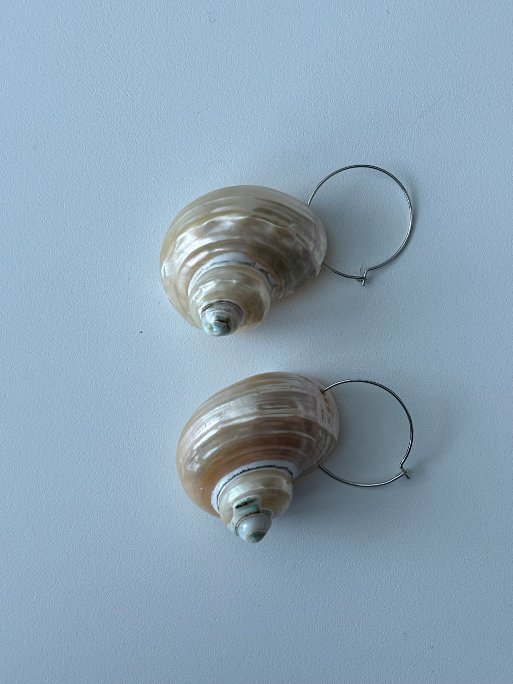 Turbo Pearled Seashells
 Earrings