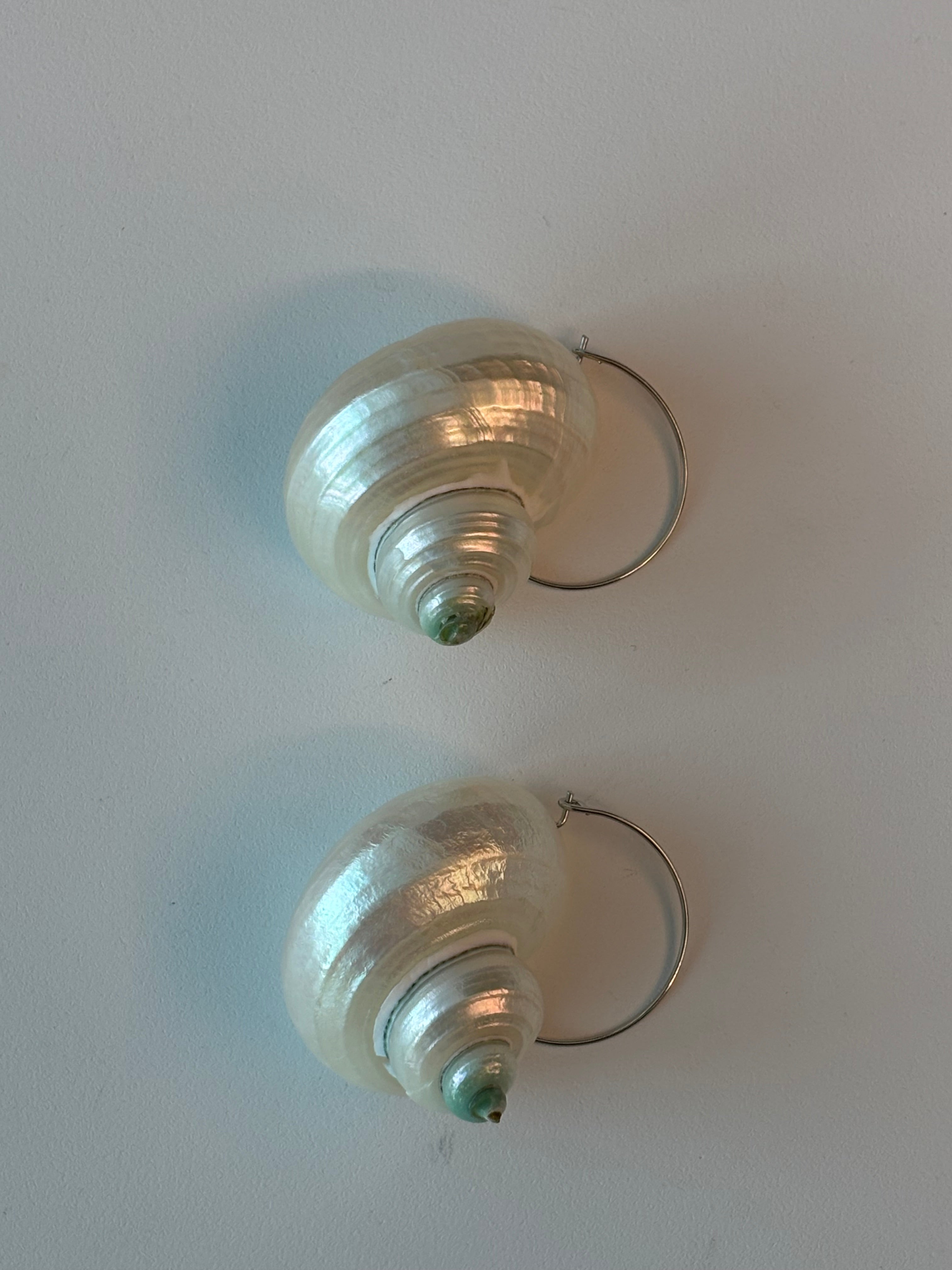 Turbo Pearled Seashells
 Earrings