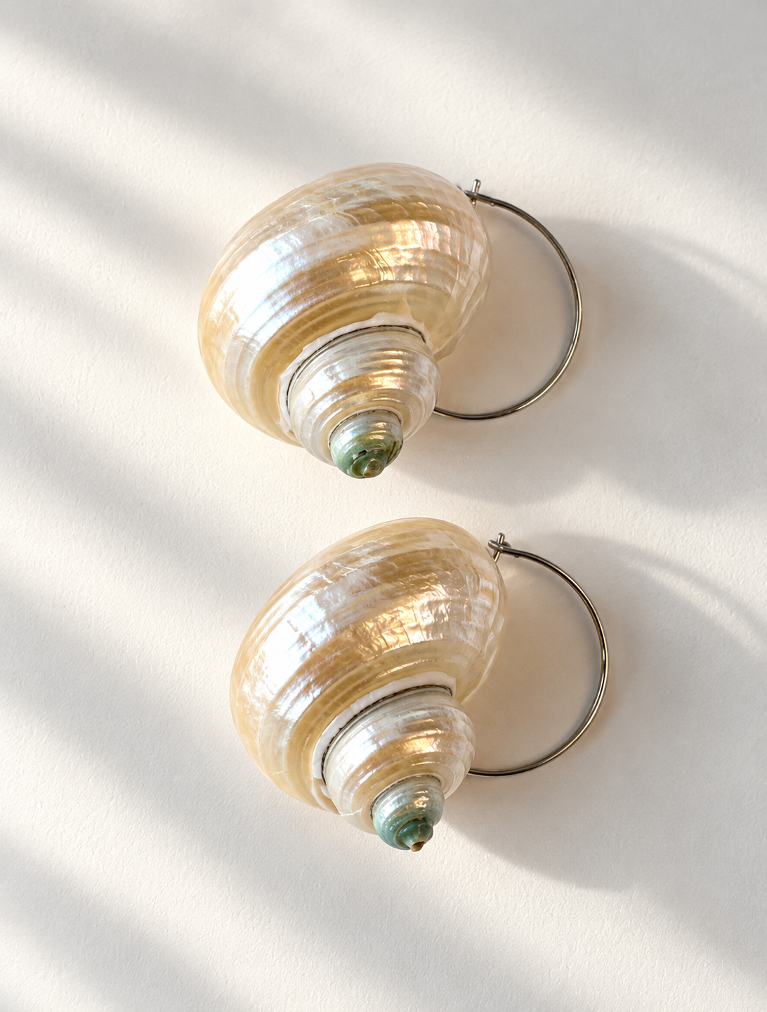 A pair of spiral shell earrings with silver-tone metal hoops, displayed on a white surface with soft diagonal shadows.
